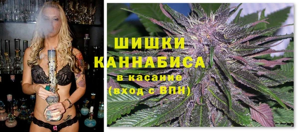твердый Алексин