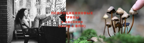 ПСИЛОЦИБИНОВЫЕ ГРИБЫ Алексеевка