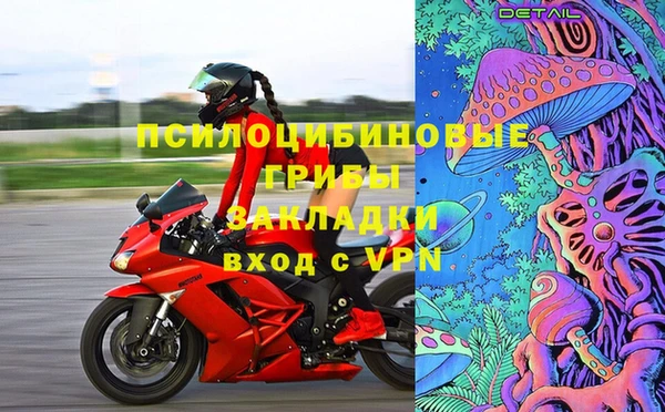 ПСИЛОЦИБИНОВЫЕ ГРИБЫ Алексеевка