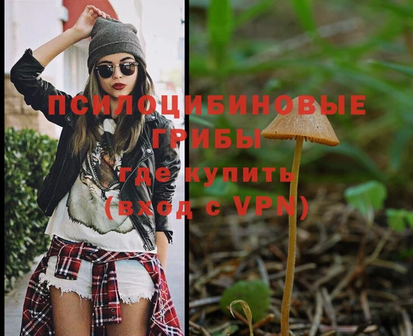ПСИЛОЦИБИНОВЫЕ ГРИБЫ Алексеевка