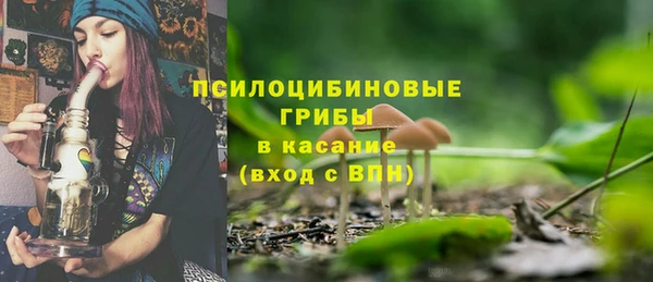 твердый Алексин